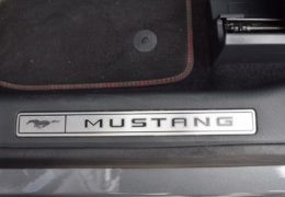 Mustang MACH E4X 0023